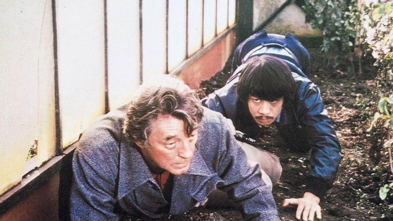 Magjia e Përgjithshme backdrop