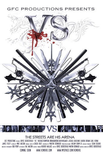 Vjedhësit e Çantës