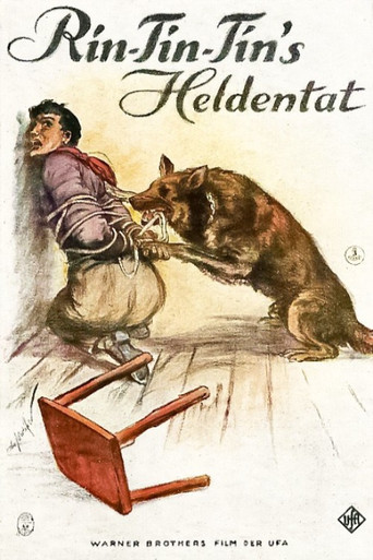 Ali Wong: Gruaja e Fortë