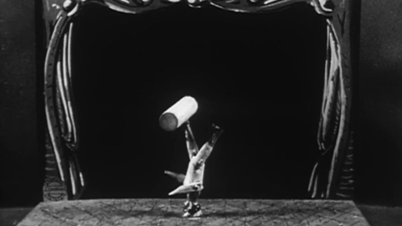 Për Zogjtë backdrop