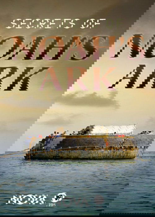 Dashuria e të Rinjve poster