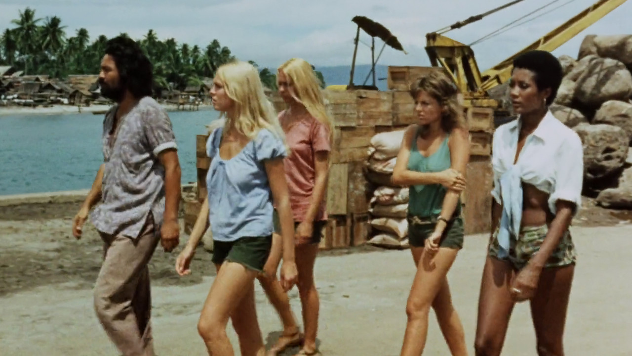 Seder-Mazohizmi backdrop