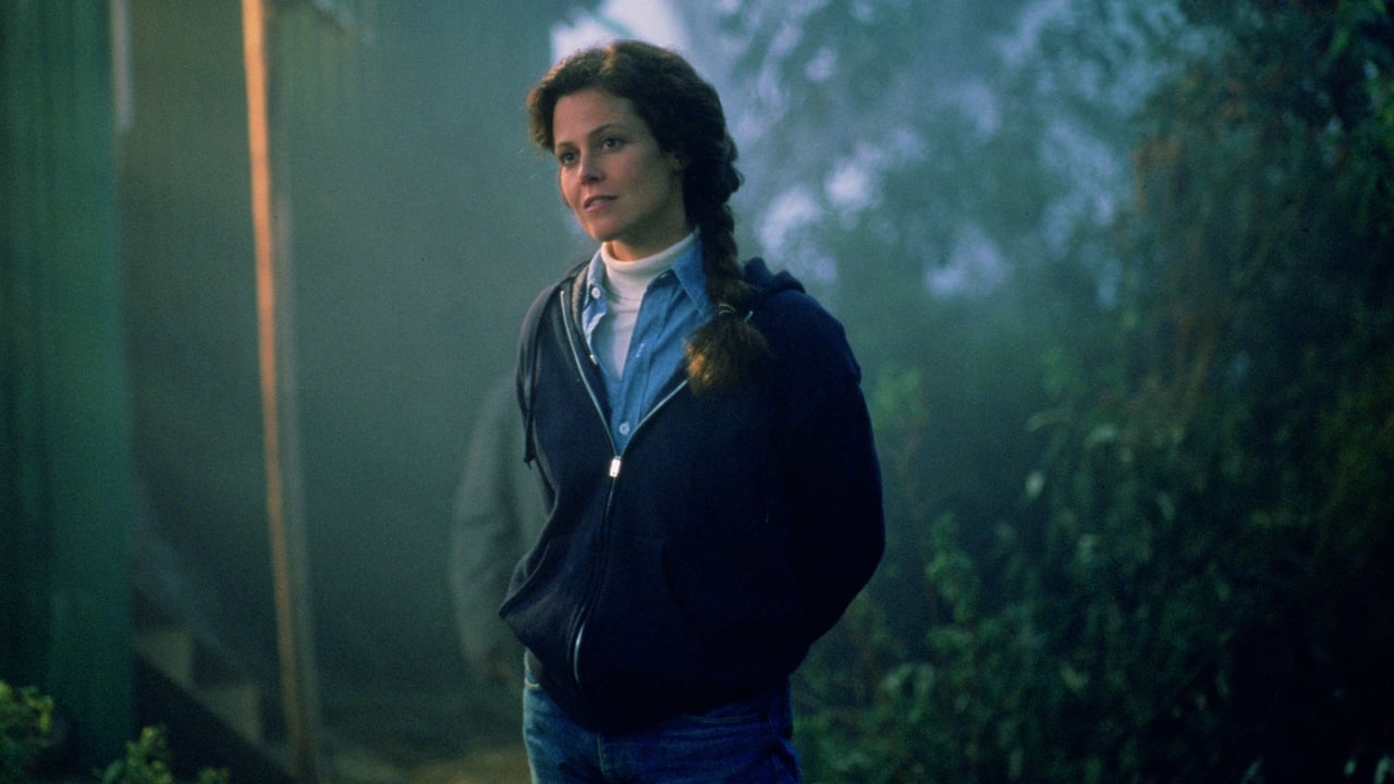 Aventurat e Bailey: Këlyshi i Humbur backdrop