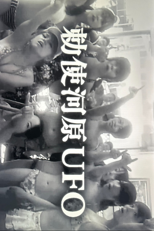 Neither Seen, Nor Known poster