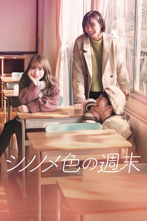 Aventura e Çuditshme e Djemve të New Yorkut poster