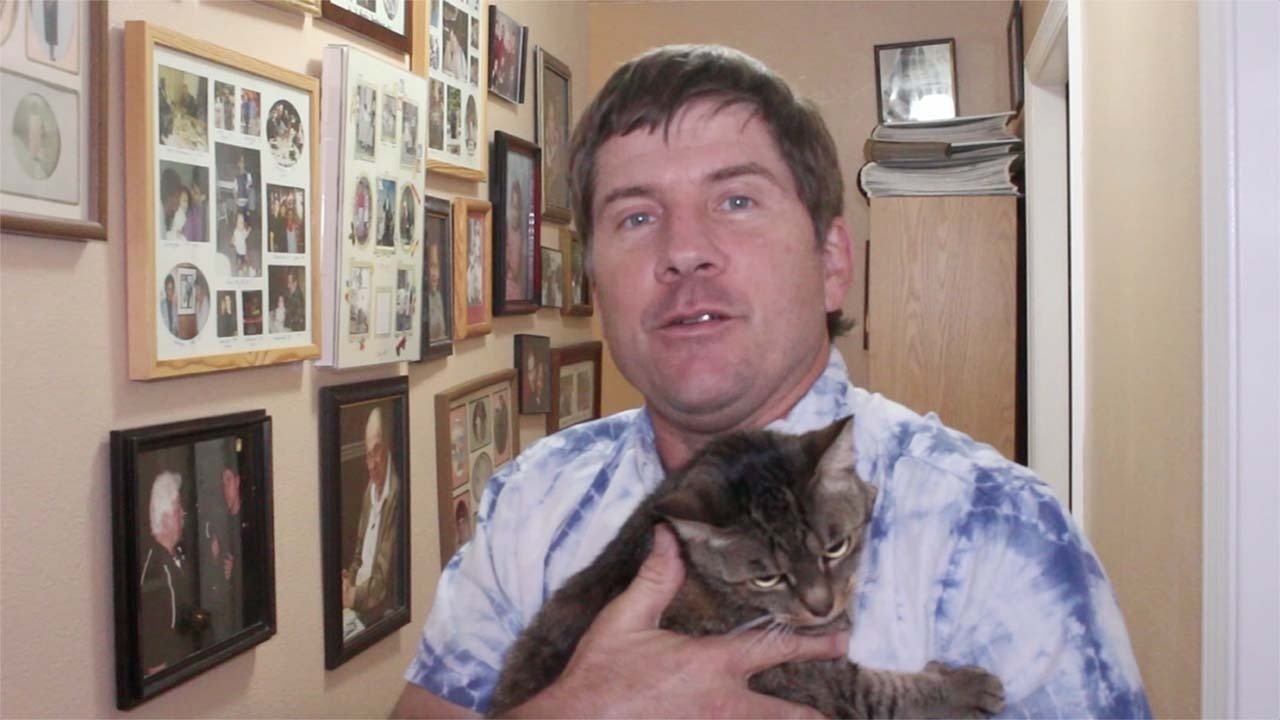 Si Jeta Pa Dashuri backdrop