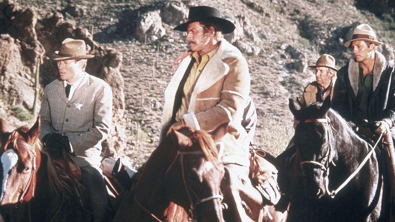 Kulti i Ostrajve Bluë: Një Natë e Gjatë Dite backdrop