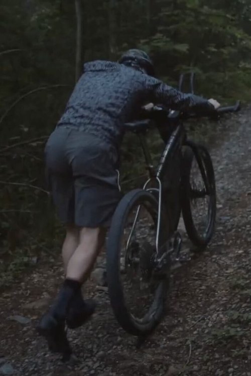 Fëmijët e Kamutit poster