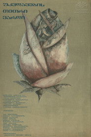 El Corrido de los Perez translates to "Korridori i Perezëve" in Albanian