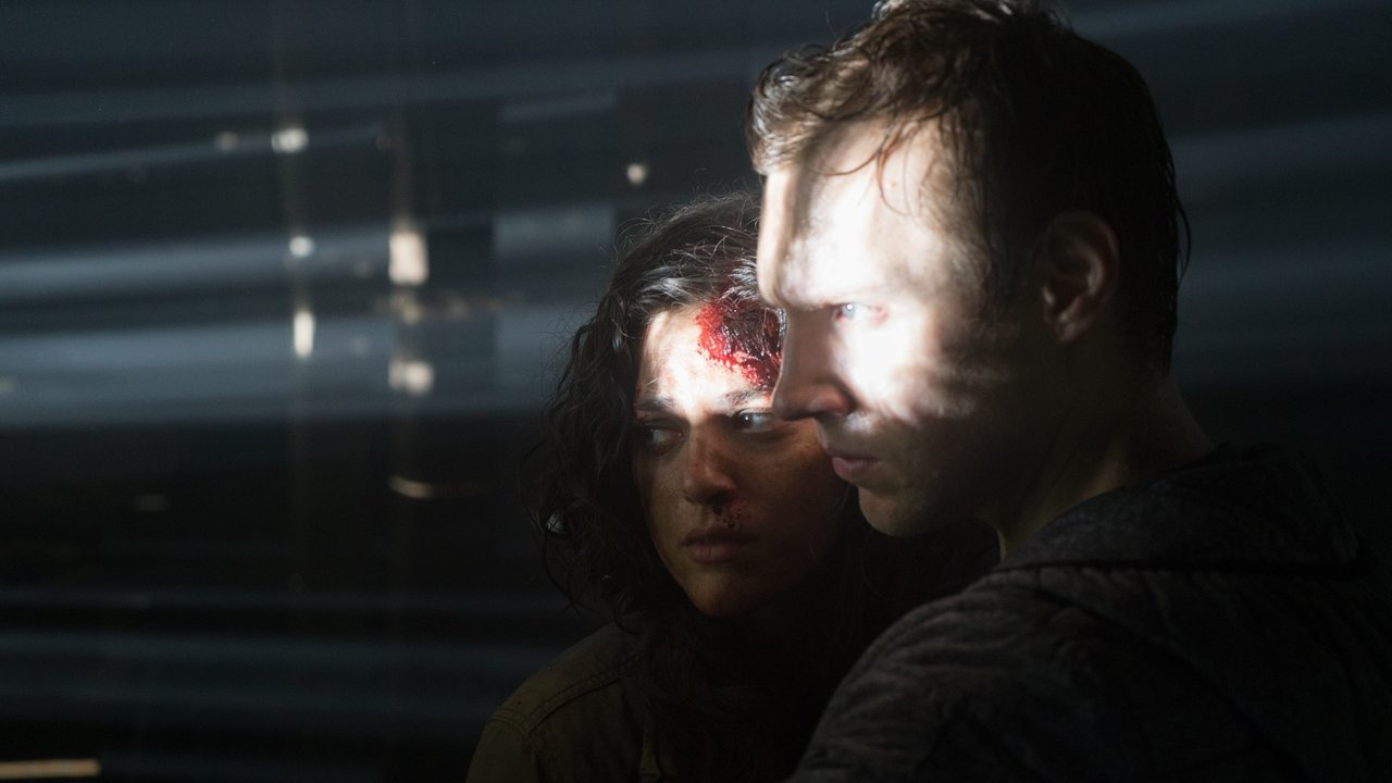 Shija e Çajit të Gjelbër mbi Orizin backdrop