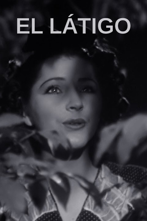 Shtëpia e martesës poster