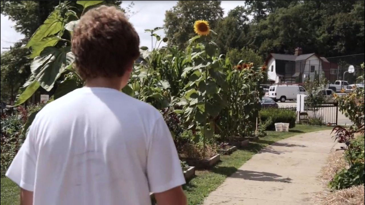 Tigra të Veriut: Histori për T'u Treguar backdrop