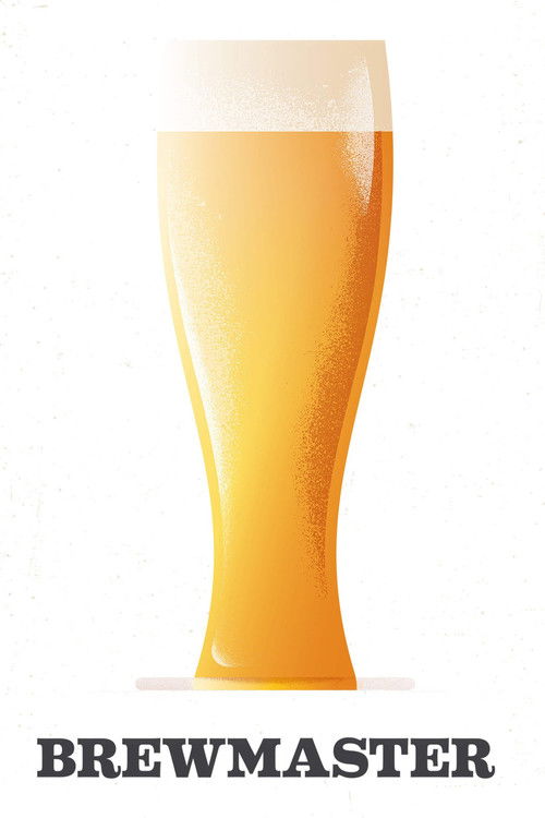 Vajza me Dy Koka poster