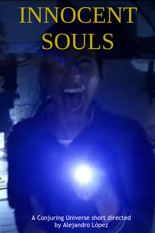 Një Grua në Natë poster