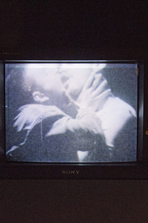 Një Pak, Një Shumë, Me Pasion poster