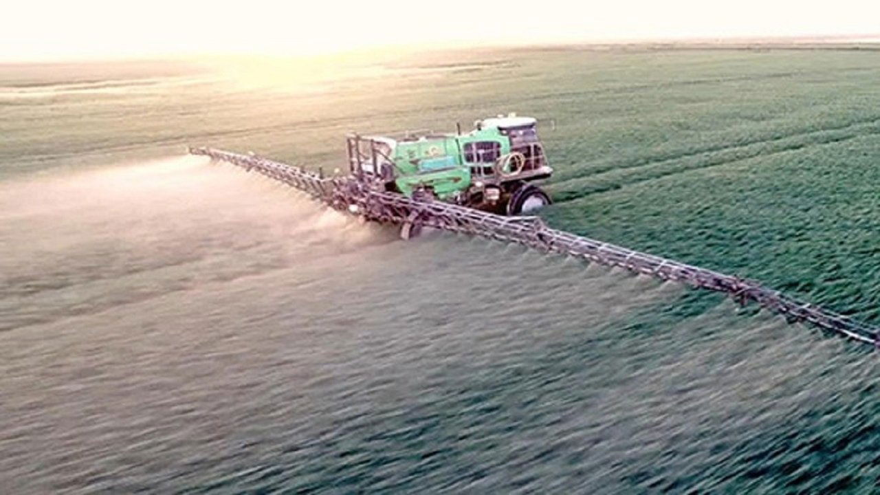 E Lehtë për t'u Shikuar backdrop