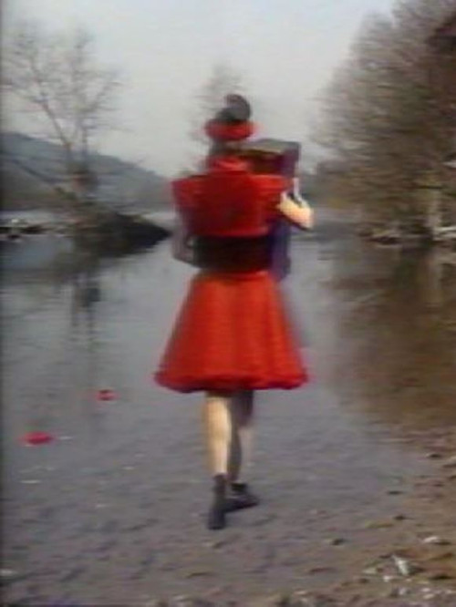 Pothuajse i famshëm poster