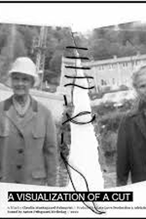 Një Temë me Variacione poster