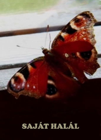 Krimi Perfekt i Nuses Vrasëse