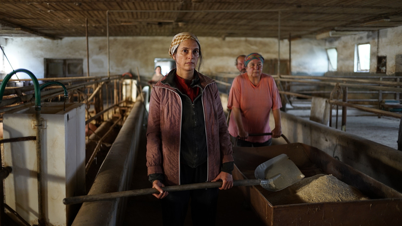 Zukunft is the Future backdrop