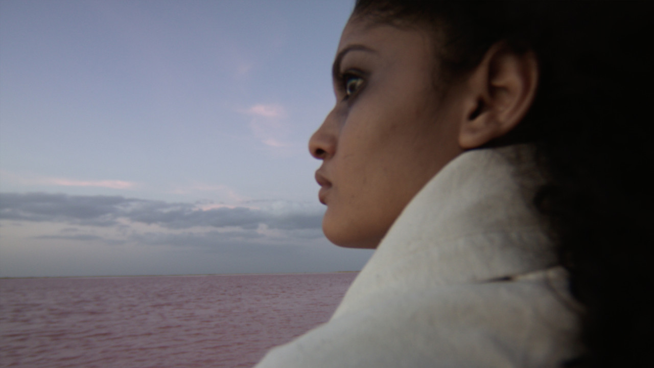 Asnjë Plan të të Dhënash backdrop