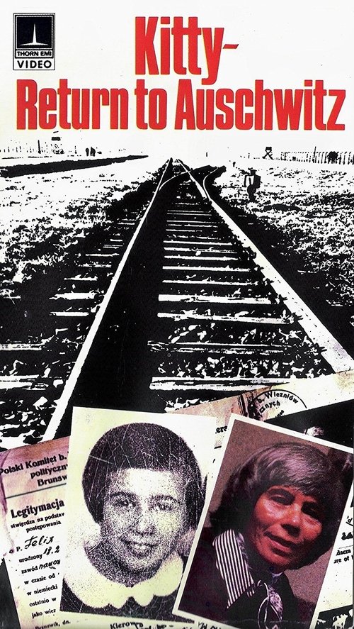 Piloti i Reconnaissancës poster