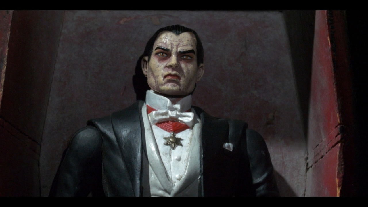 Willie, Jamaley & The Cacacoon backdrop