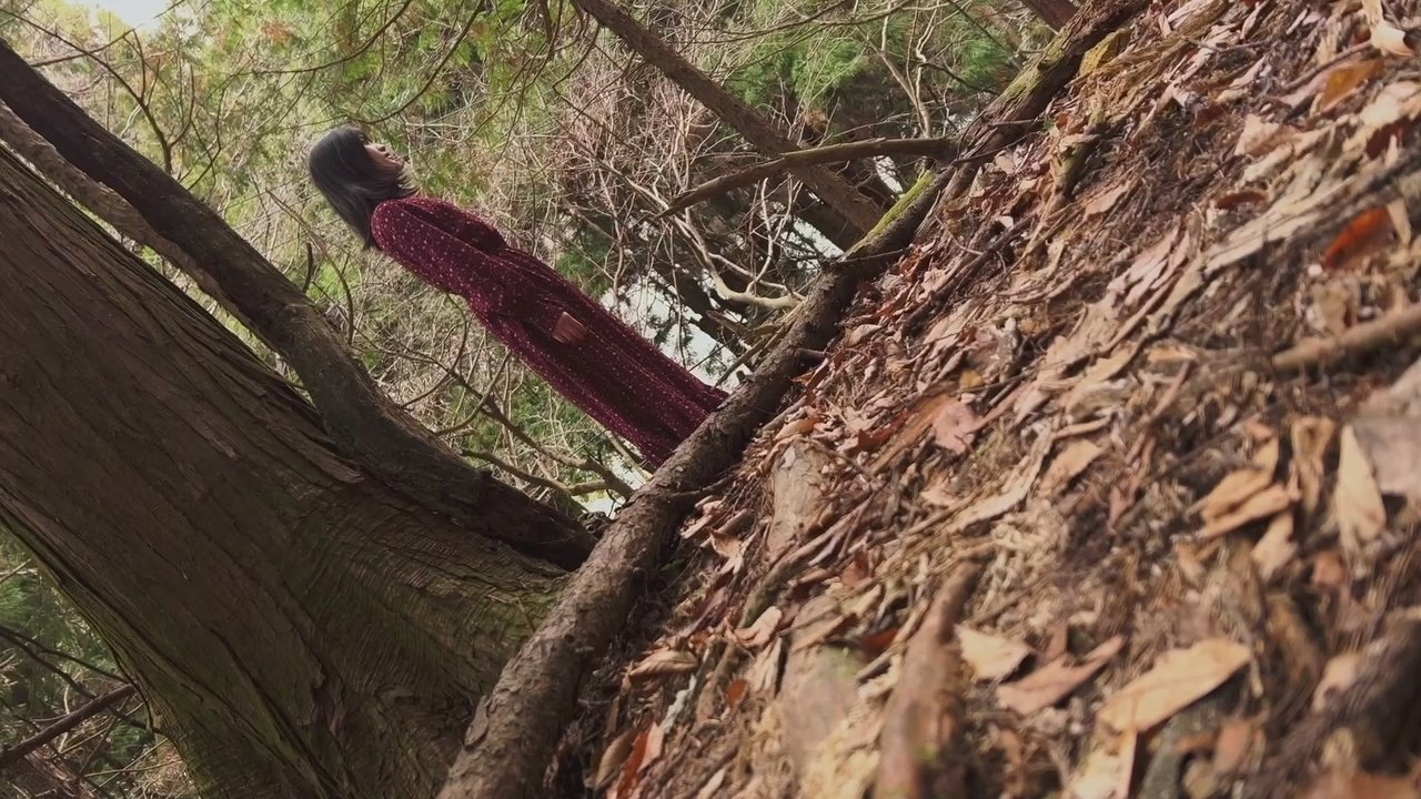 Dashuri për Shitje backdrop