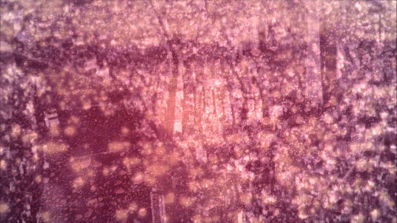 Luftërat Narco: Në Fjalët e Tyre backdrop