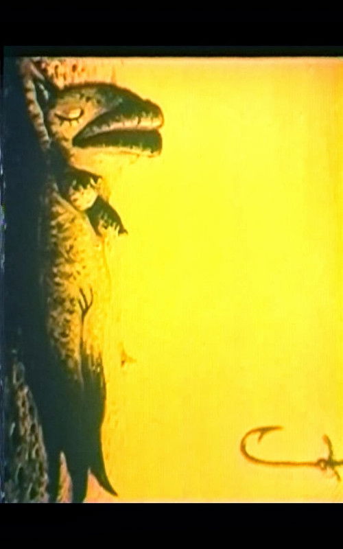 Ninja Ballerina poster