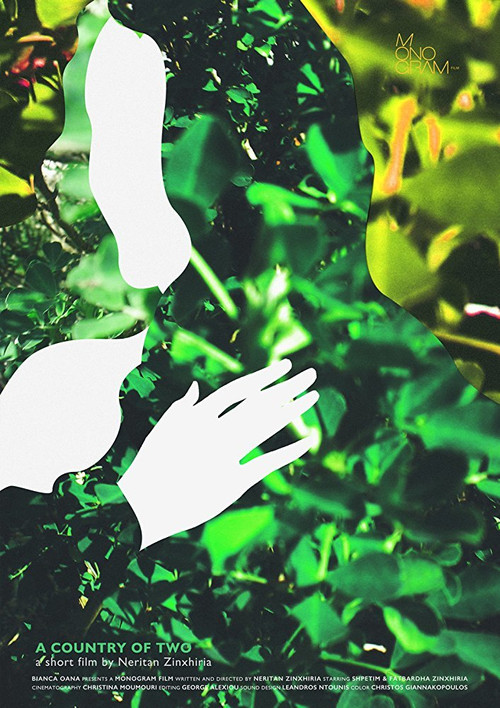 Vjedhja e Murtovës poster