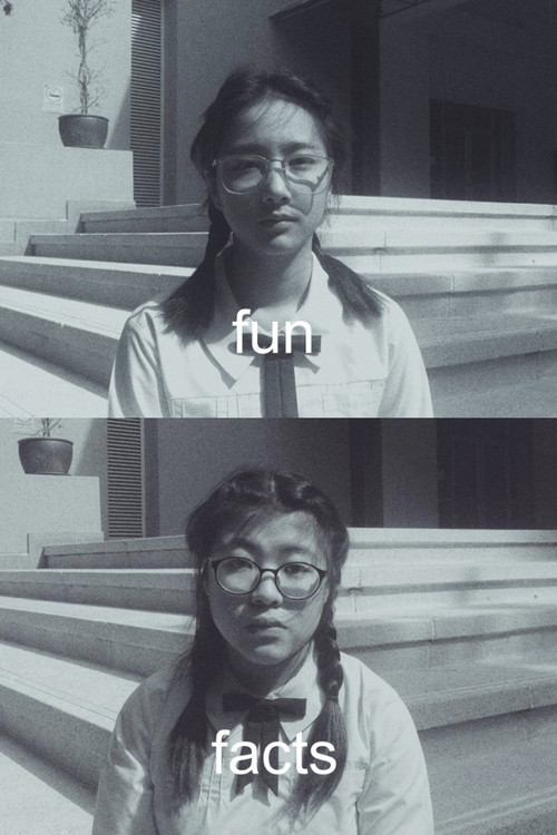 Ο Παραμυθάς poster