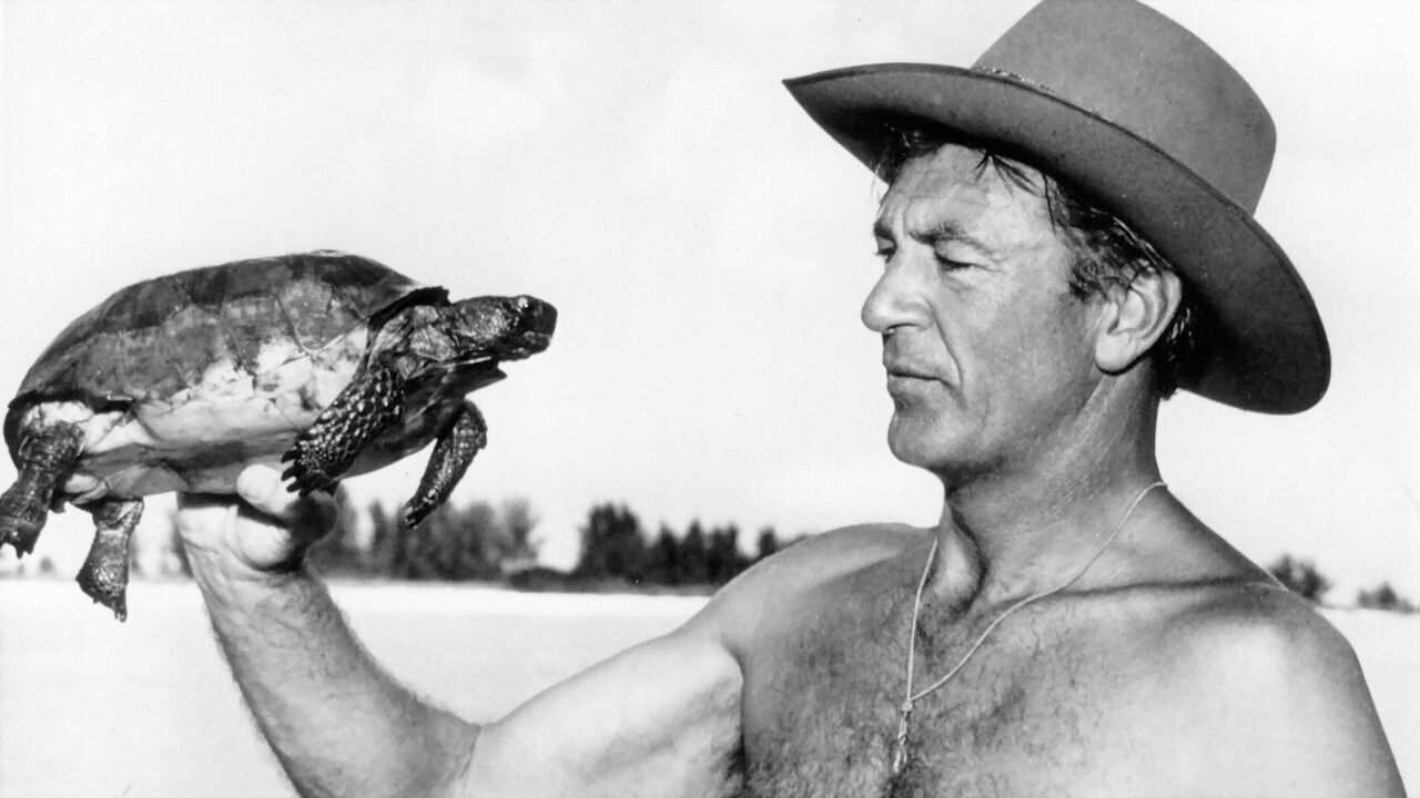 Ëndërmja Supreme e Koulakovit backdrop