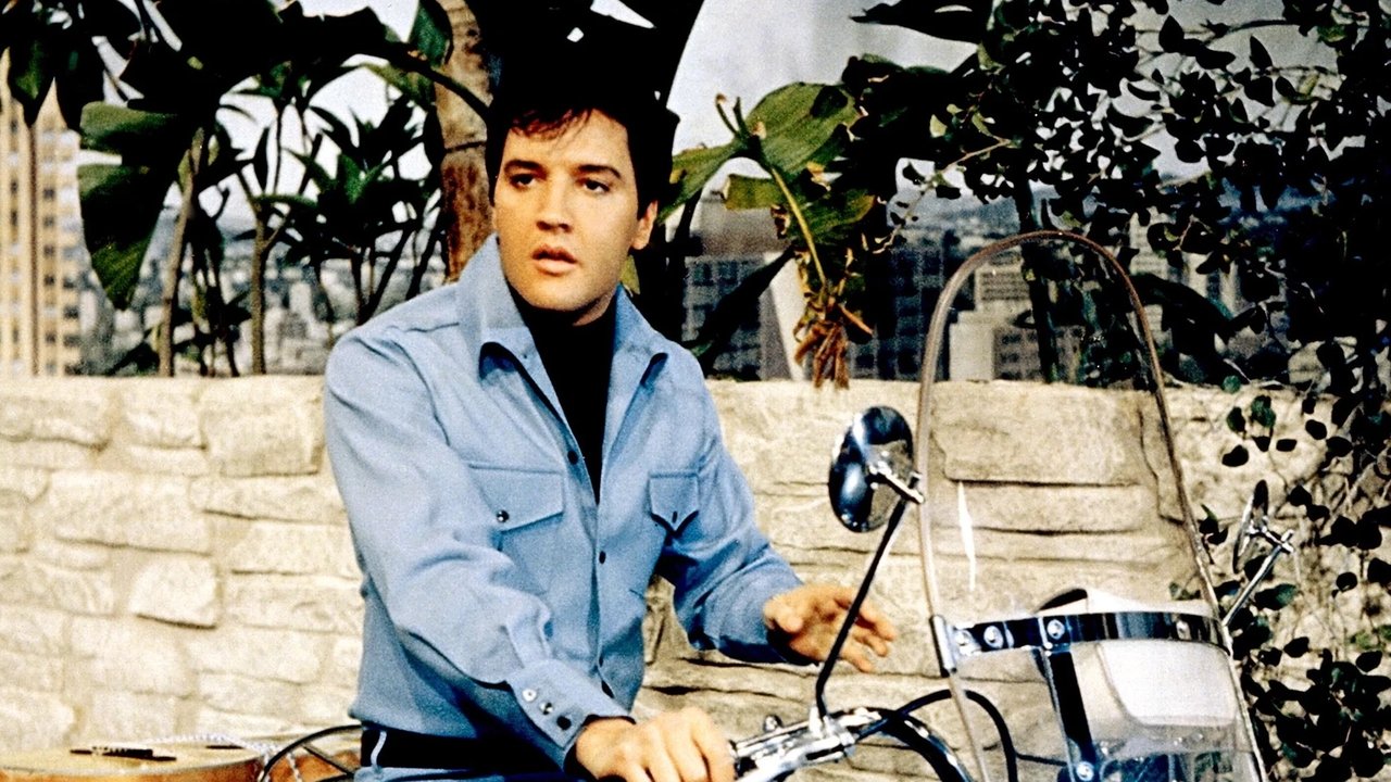 Të Voglat Shkrepje të Lumturisë backdrop