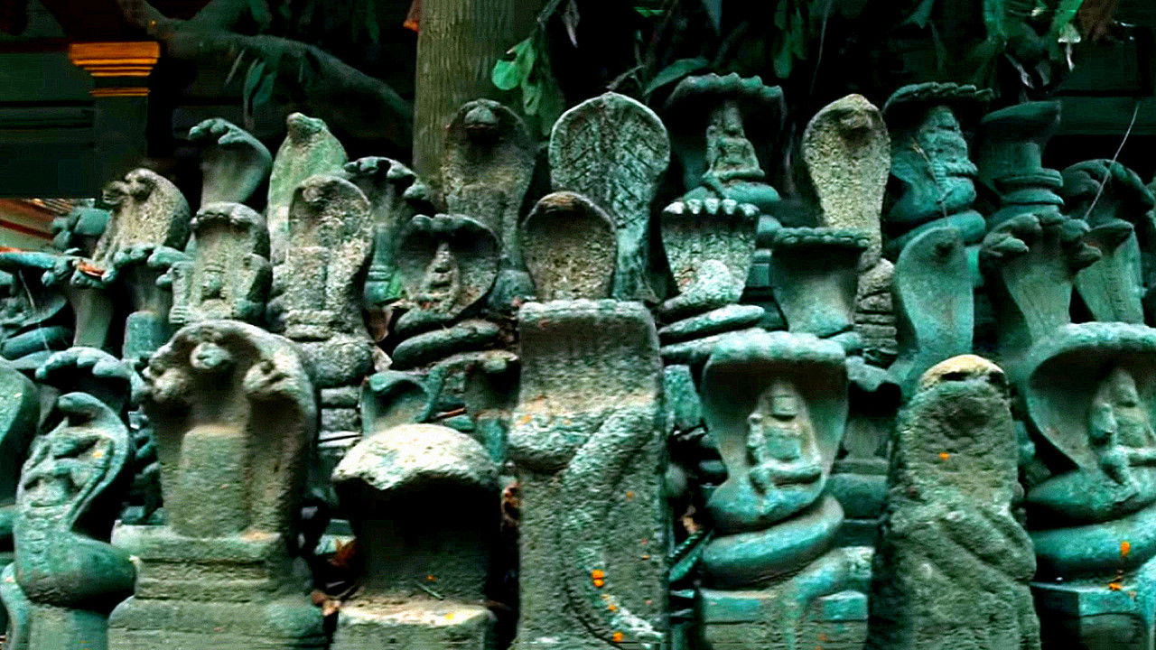 Marinari Fluturues backdrop