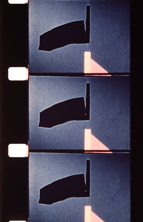 Ghost Bird: Jeta dhe arti i Judith Deim poster