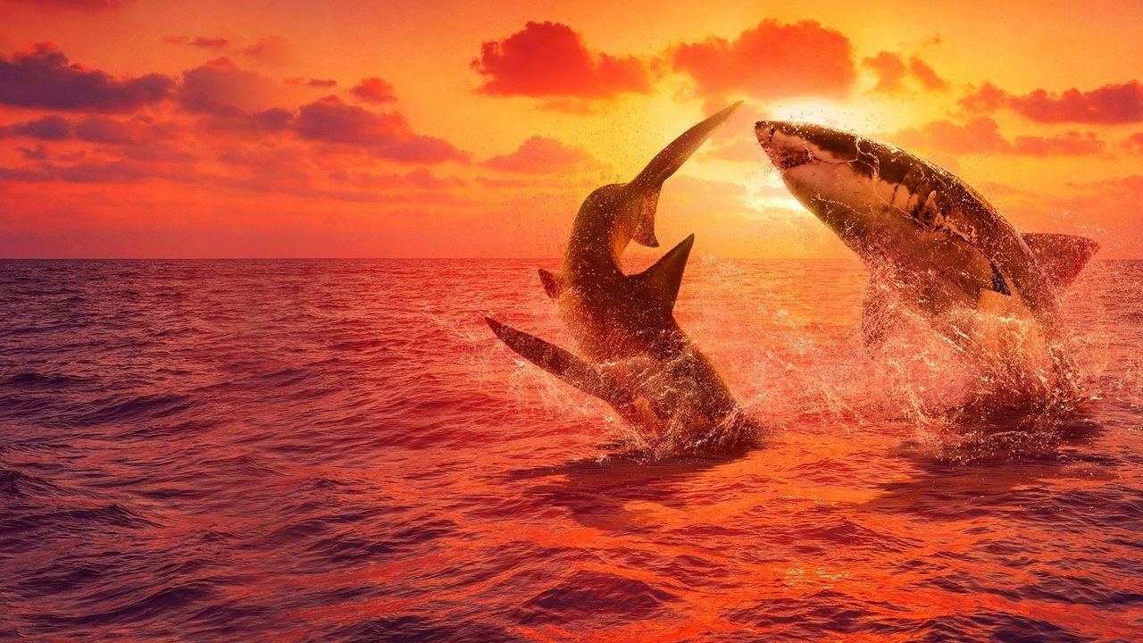 Teta e Charleyit backdrop