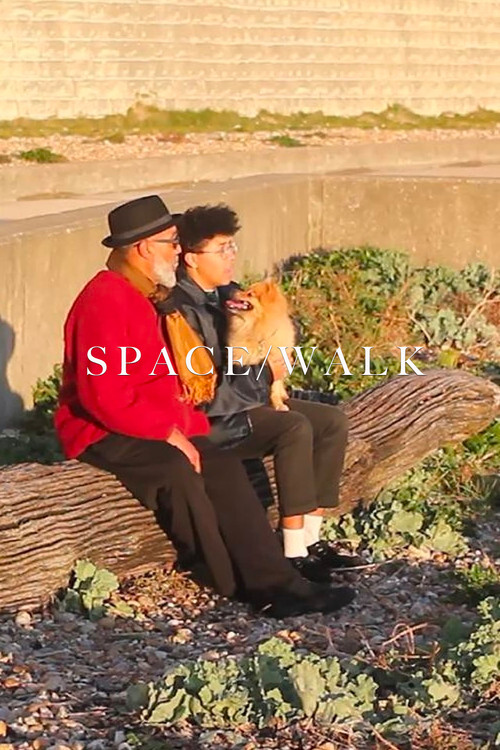 Vdekje e shpejtë poster