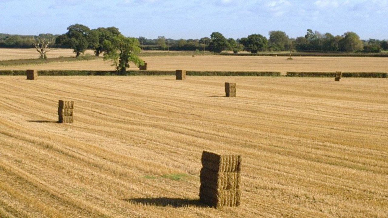 Cravate club backdrop