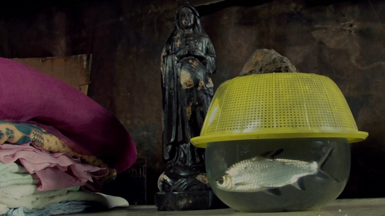 Krijesa e Zotit backdrop