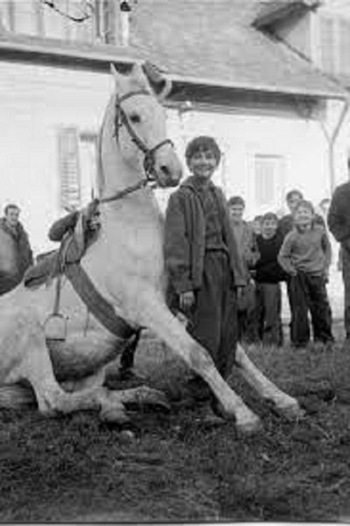 The title Ormayil Oru Shishiram does not have a direct translation in Albanian as it appears to be a proper name. Therefore, it should remain as Ormayil Oru Shishiram poster