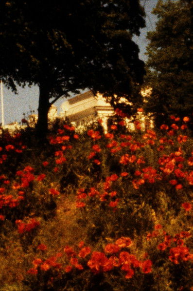 Gruaja ime është e çmendur poster