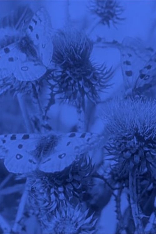 Faqja e borës poster