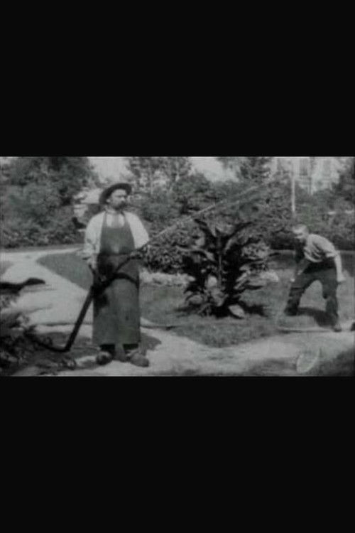 Nga drejtpërdrejt... Studio-t tona në Buttes-Chaumont poster