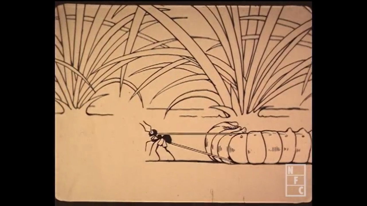 Nderi i Shtëpisë së Tij backdrop