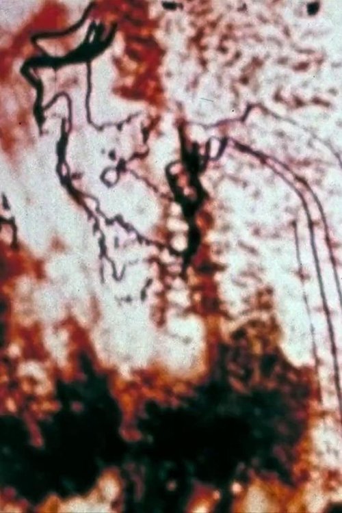 Heronj të Përdorur poster