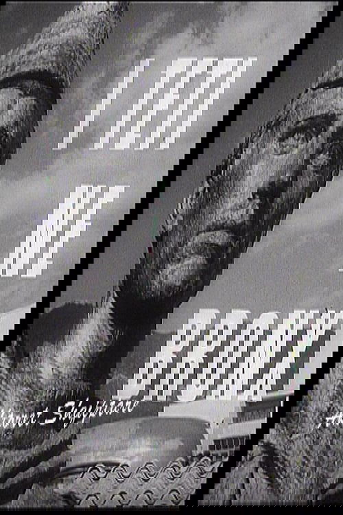 Neil Young and Crazy Horse: Year of the Horse poster