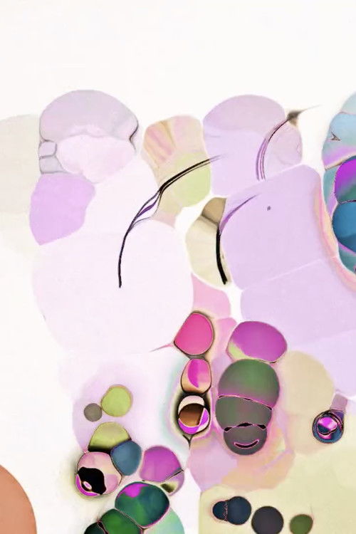 Sara Kroos: E pastrehuar poster