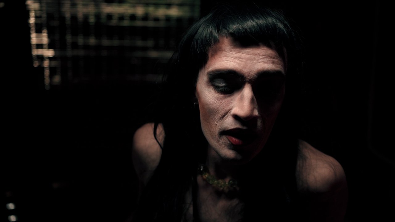 Pushimet janë liria backdrop