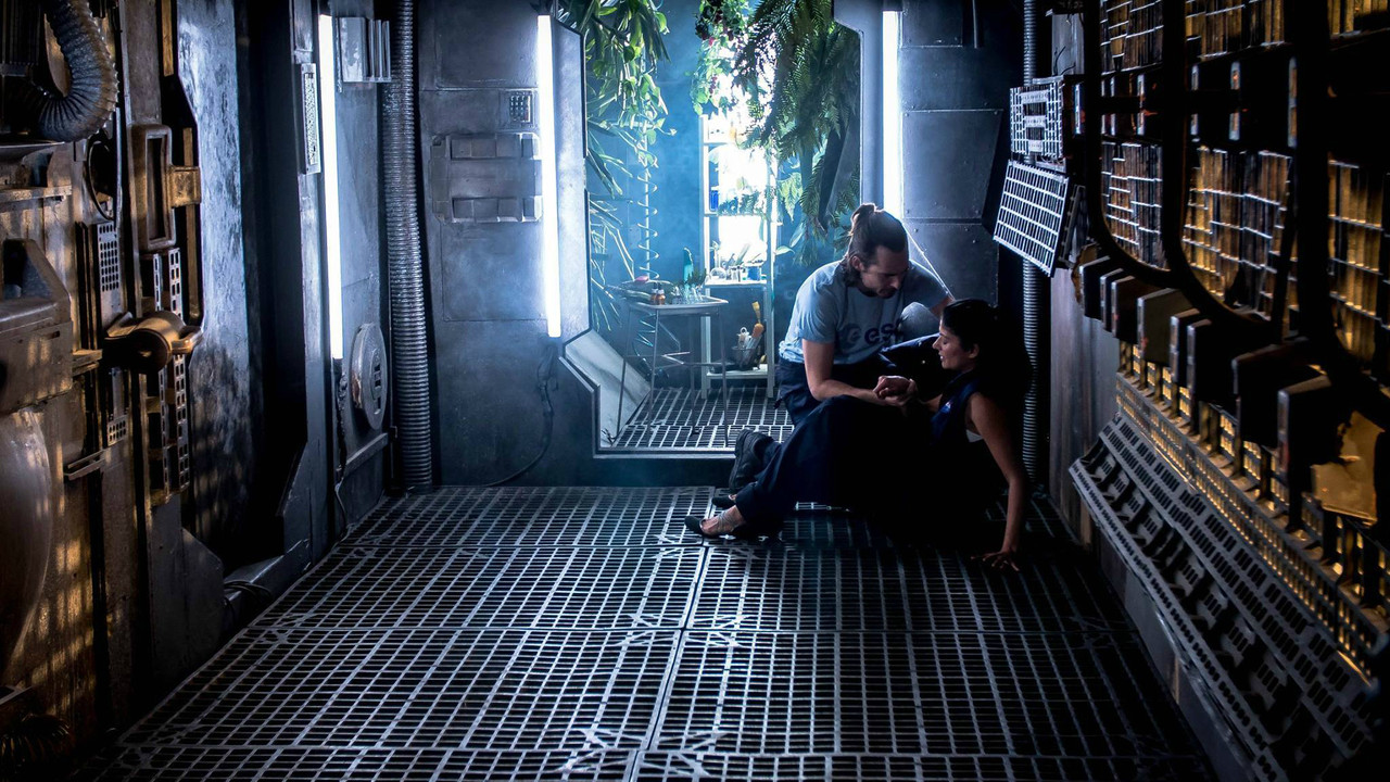 Shikuesit e zogjve backdrop